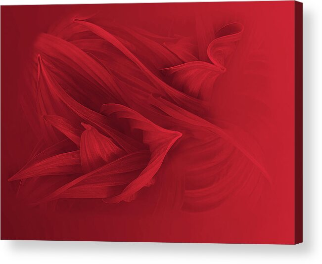 Spring Acrylic Print featuring the photograph Red Storm Fading by Wayne King