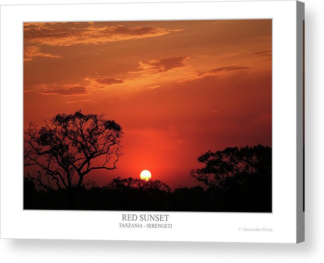 Alessandro Pezzo Acrylic Print featuring the photograph Red Sunset by Alessandro Pezzo