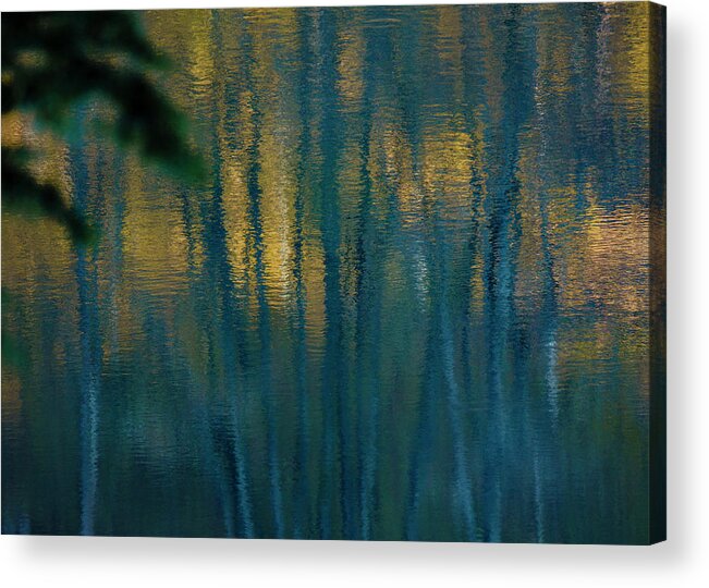 Schwarzwald Acrylic Print featuring the photograph Reflections of wood and light by Ioannis Konstas