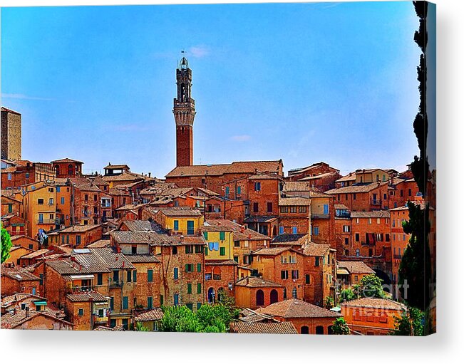 Siena Acrylic Print featuring the photograph Roofs of Siena by Ramona Matei