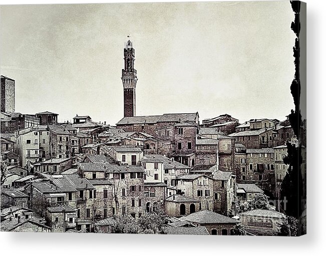 Siena Acrylic Print featuring the photograph Rooftops in Siena by Ramona Matei