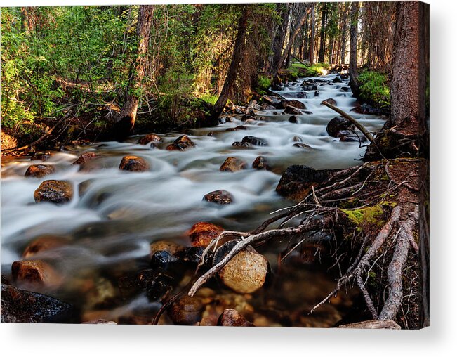 Fishhook Creek Acrylic Print featuring the photograph Rushing Fishhook Creek in Stanley Idaho USA by Vishwanath Bhat