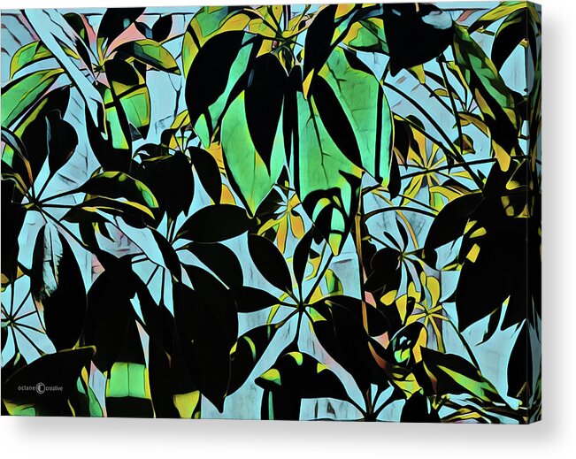 Plant Acrylic Print featuring the photograph Schefflera by Tim Nyberg