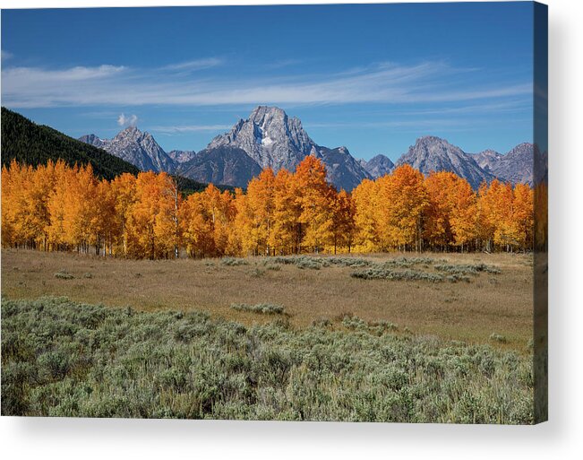 September Colors In Grand Tetons Acrylic Print featuring the photograph September Colors In Grand Tetons by Dan Sproul