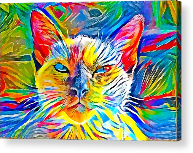 Siamese Cat Acrylic Print featuring the digital art Siamese cat face in the sun - colorful zebra pattern painting by Nicko Prints
