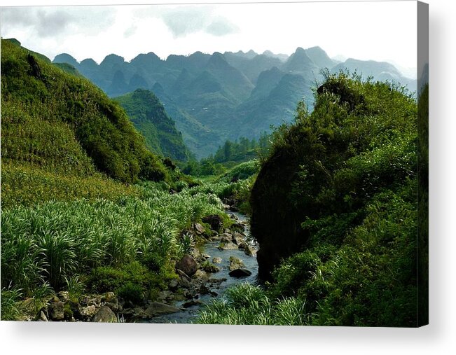 Valley Acrylic Print featuring the photograph Small river in the mountains of Vietnam by Robert Bociaga