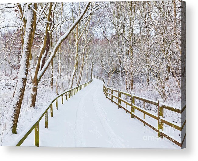 Sherwood Forest Country Park Acrylic Print featuring the photograph Snowy path through trees, Sherwood Forest, Nottingham, England by Neale And Judith Clark