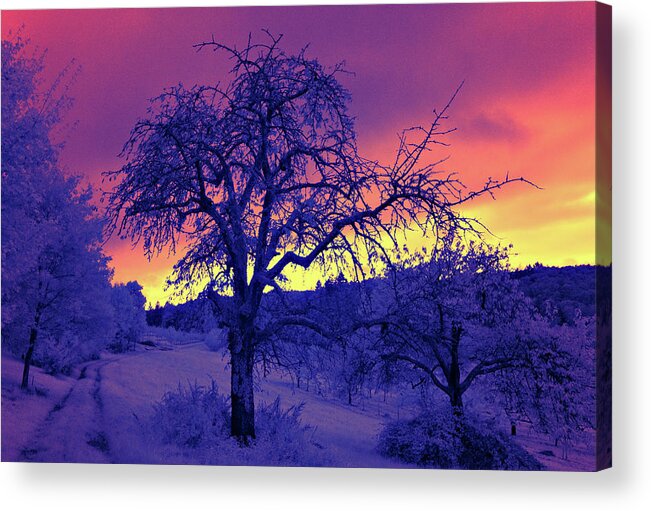 Infrared Acrylic Print featuring the photograph Sonnenuntergang - Infrarot by Ioannis Konstas