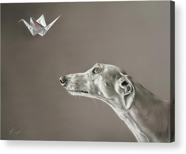 Greyhound Acrylic Print featuring the drawing Soul Hunter by Elena Kolotusha
