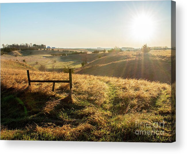 Spring Sun Acrylic Print featuring the photograph Spring Sun by Troy Stapek