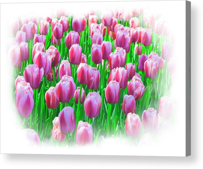 Easter Acrylic Print featuring the mixed media Spring Tulips by Moira Law