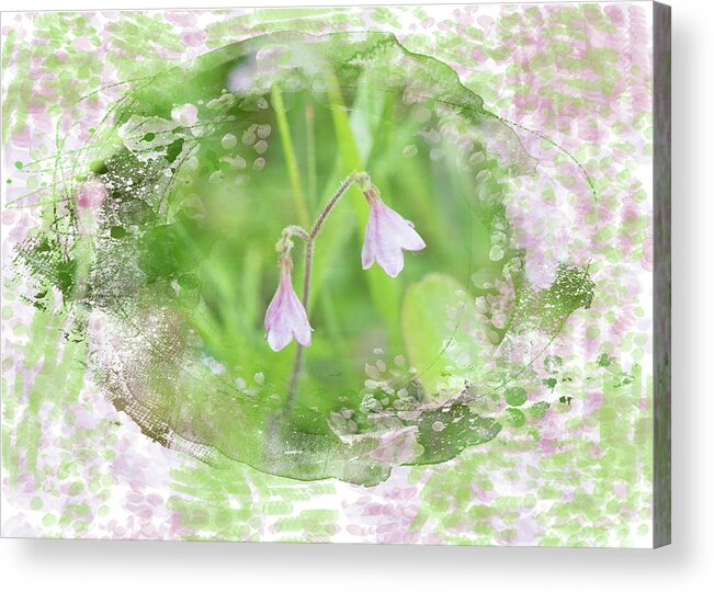 Easter Acrylic Print featuring the mixed media Spring Twin Flower by Moira Law