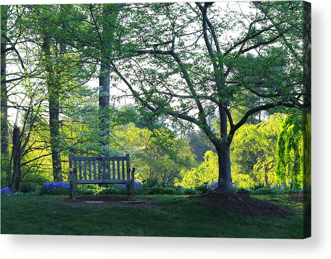Bench Acrylic Print featuring the photograph Springtime Serenity by Steve Ember