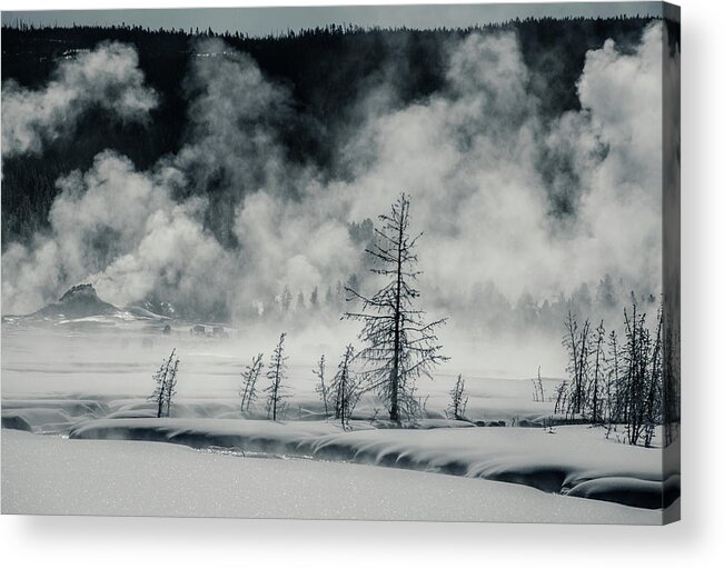 Yellowstone Acrylic Print featuring the photograph Steam Rising by Linda Villers