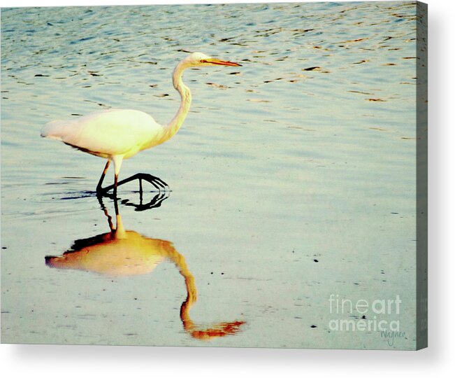 Egret Acrylic Print featuring the photograph Stepping Out by Hilda Wagner