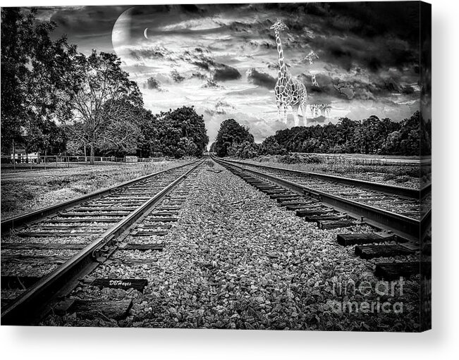Black & Whites Acrylic Print featuring the photograph Strange World In Black And White by DB Hayes