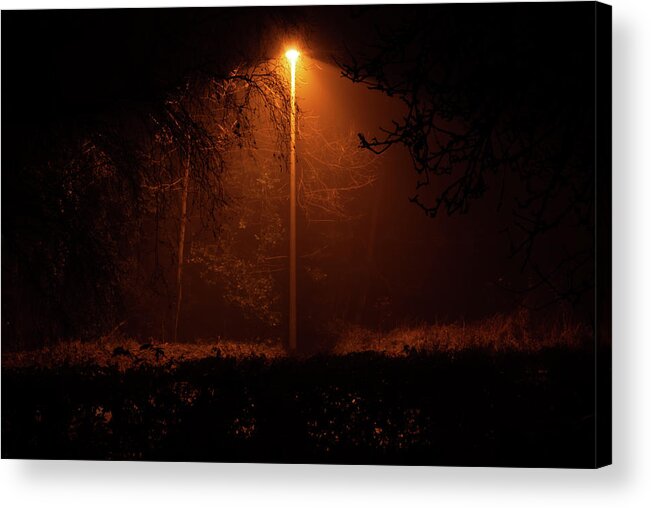 Country Acrylic Print featuring the photograph Streetlight of danger by Average Images