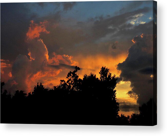 Evening Acrylic Print featuring the photograph Summer Evening - Two by Linda Stern