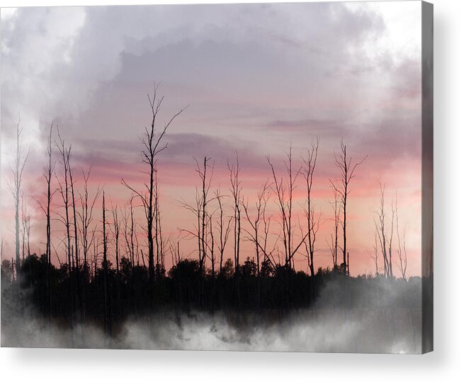 Trees Acrylic Print featuring the mixed media Sundown by Moira Law