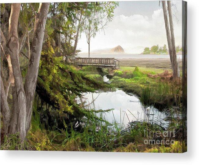 Sweet Water Acrylic Print featuring the photograph Sweet Water Bridge II by Sharon Foster