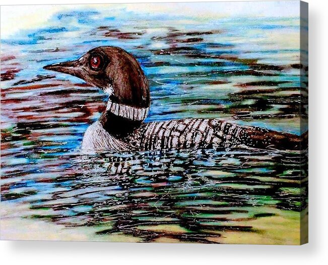 Loon Acrylic Print featuring the drawing The Loon by Marysue Ryan