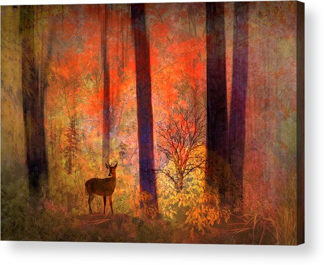 Fantasy Acrylic Print featuring the photograph The Visitor by Jessica Jenney