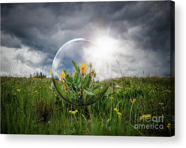 Crystal Acrylic Print featuring the photograph Through the Crystal Ball by Thomas Nay
