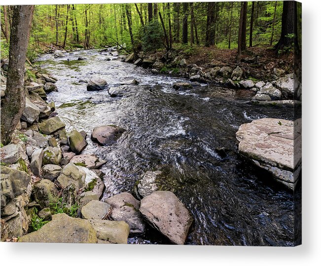 Catskills Acrylic Print featuring the photograph Upstate New York - Ten Mile River Narrowsburg by Amelia Pearn