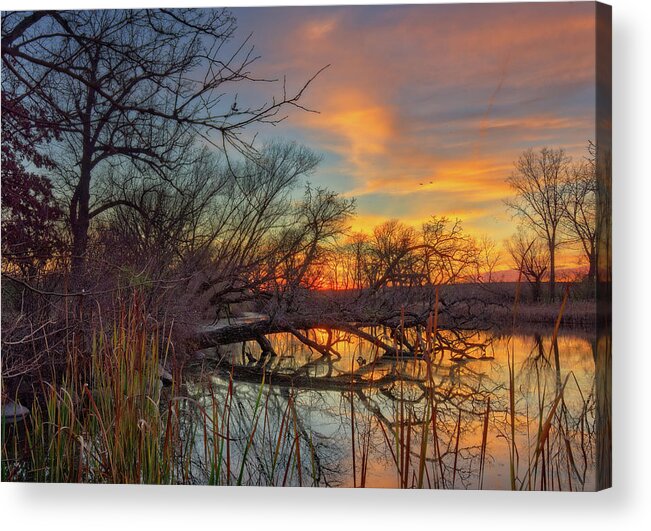 Viking Acrylic Print featuring the photograph Viking Reflections - autumn sunset at fallen tree on Yahara River at Stoughton WI by Peter Herman