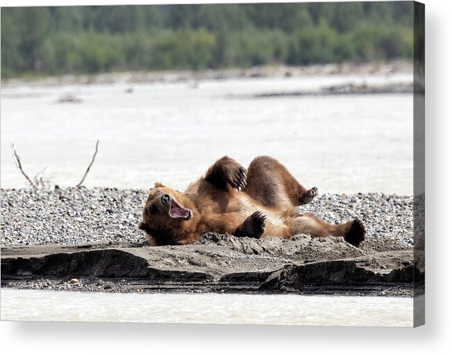 Alaska Acrylic Print featuring the photograph Waking up on the Sandbar by Cheryl Strahl