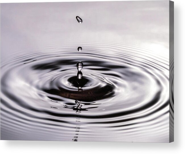 Close Up Acrylic Print featuring the photograph Water Drops Splash Down by Amelia Pearn