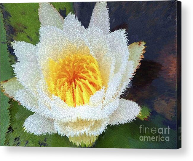 Water Lily Acrylic Print featuring the digital art Water Lily by Patti Powers