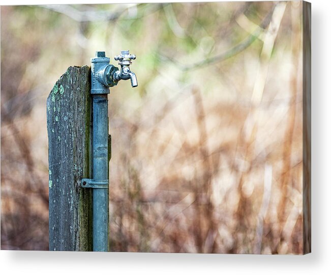 Water Fountain Acrylic Print featuring the photograph Autumn Water Spigot #1 by Amelia Pearn