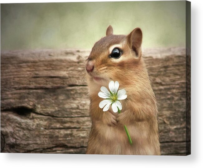 Chipmunk Acrylic Print featuring the mixed media Welcome Spring by Lori Deiter