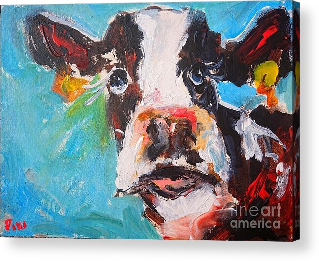 Wild Cow Painting Acrylic Print featuring the painting Wild cow painting by Mary Cahalan Lee - aka PIXI