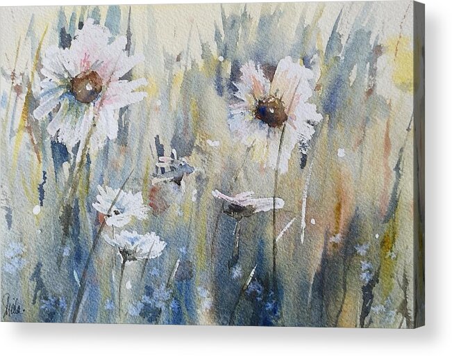 Watercolour Art Acrylic Print featuring the painting Wild Daisies by Sheila Romard