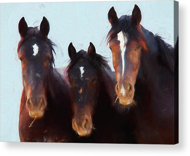 Wild Mustangs Wyoming Acrylic Print featuring the photograph Wild Mustangs Wyoming X118 by Rich Franco