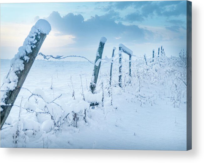 Snow Acrylic Print featuring the photograph Winter Sky And Snowy Fence by Karen Rispin