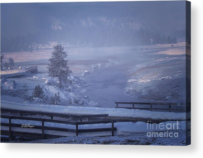 Yellowstone Acrylic Print featuring the photograph Yellowstone In Fog by DB Hayes