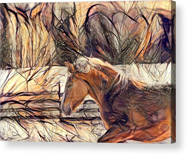 Palomino Acrylic Print featuring the digital art Young Prince 1 by Listen To Your Horse