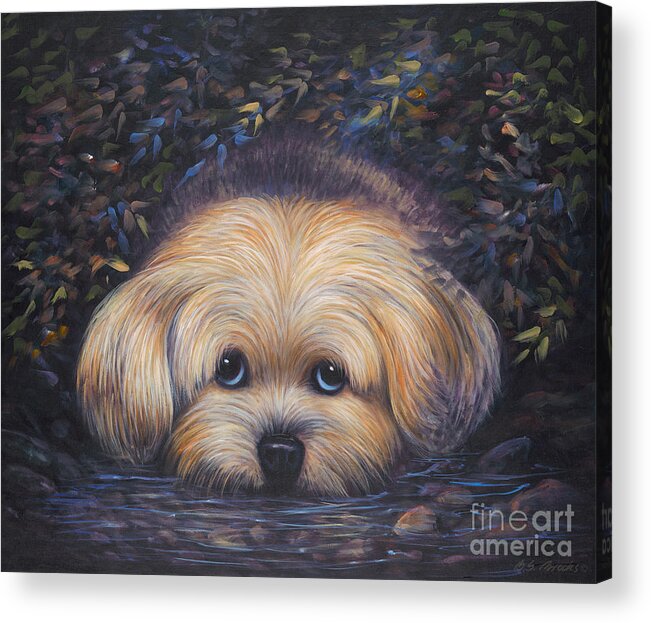 Dog Acrylic Print featuring the painting Sophie's Hideaway by Birgit Seeger-Brooks