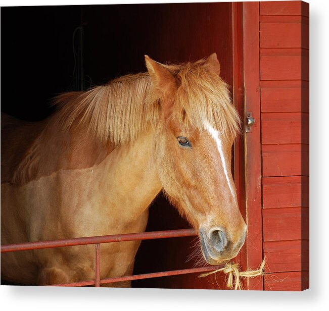 Stabled - Art Mccaffrey Acrylic Print featuring the photograph Stabled by Art Mccaffrey