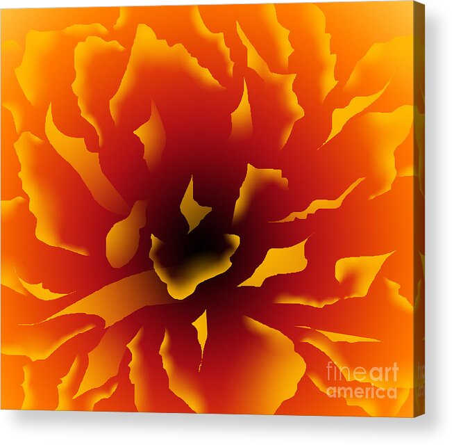 Peony Acrylic Print featuring the digital art Fire Peony by Alice Chen