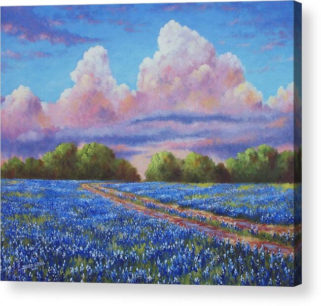 Rain Acrylic Print featuring the painting Rain For The Bluebonnets by David G Paul