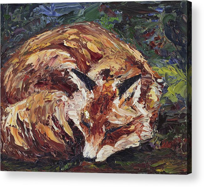 Fox Acrylic Print featuring the painting Fox Asleep by Dale Bernard