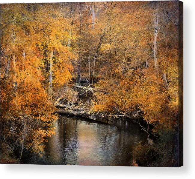 Autumn Acrylic Print featuring the photograph Golden Blessings by Jai Johnson