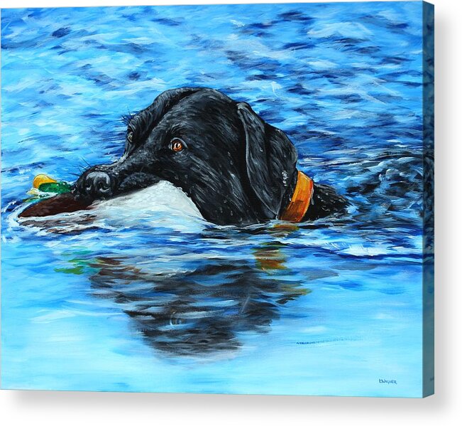Labrador Retriever Acrylic Print featuring the painting Hard at Work by Karl Wagner