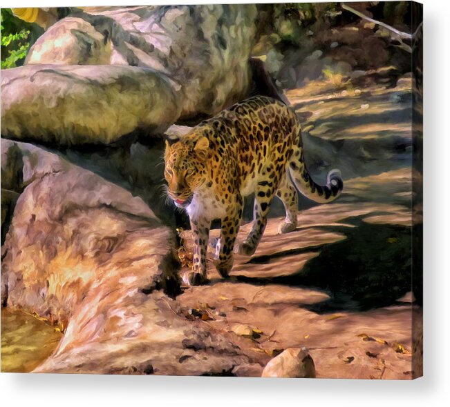 Amur Leopard Acrylic Print featuring the painting Leopard by Michael Pickett