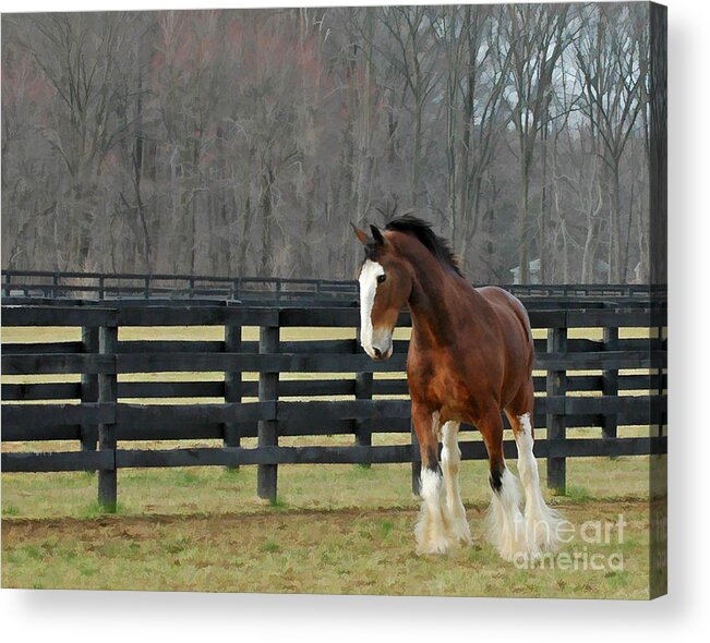 Landscape Acrylic Print featuring the photograph Prince charming by Sami Martin