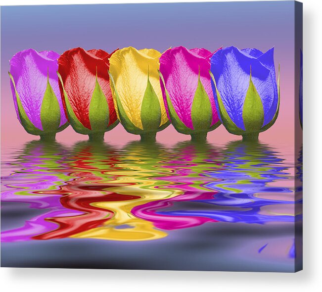 Roses Acrylic Print featuring the photograph Roses Rising by Tom Mc Nemar